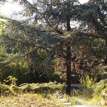 Ebon Oda ve Kahvaltı
